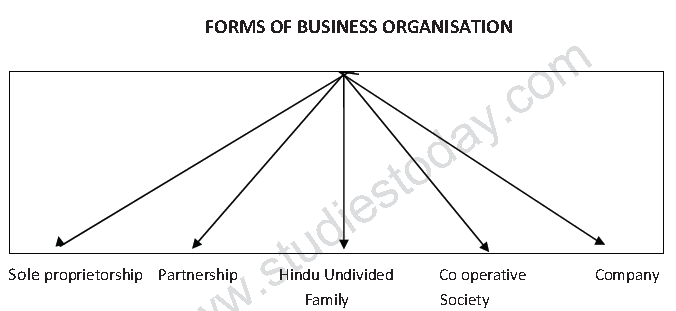 cbse-class-11-business-studies-forms-of-business-organisation-notes